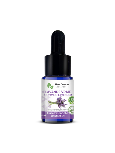 Huile essentielle bio de lavande vraie