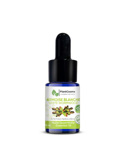 Huile essentielle bio d’armoise blanche